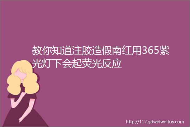 教你知道注胶造假南红用365紫光灯下会起荧光反应